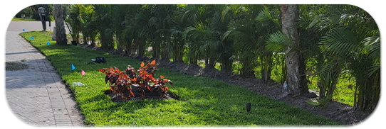 Professional Services